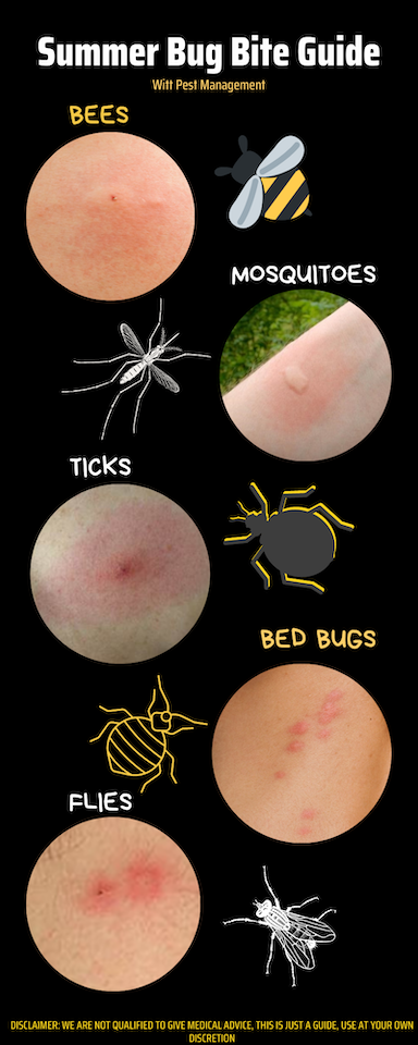 What Bug Is Biting Me?, Summer Bug Bite Guide