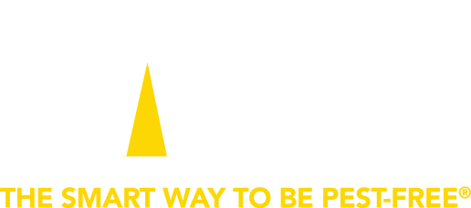 Witt Pest Management