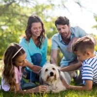 Family of four laying on grass petting their dog