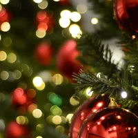 Ornament on a Christmas Tree