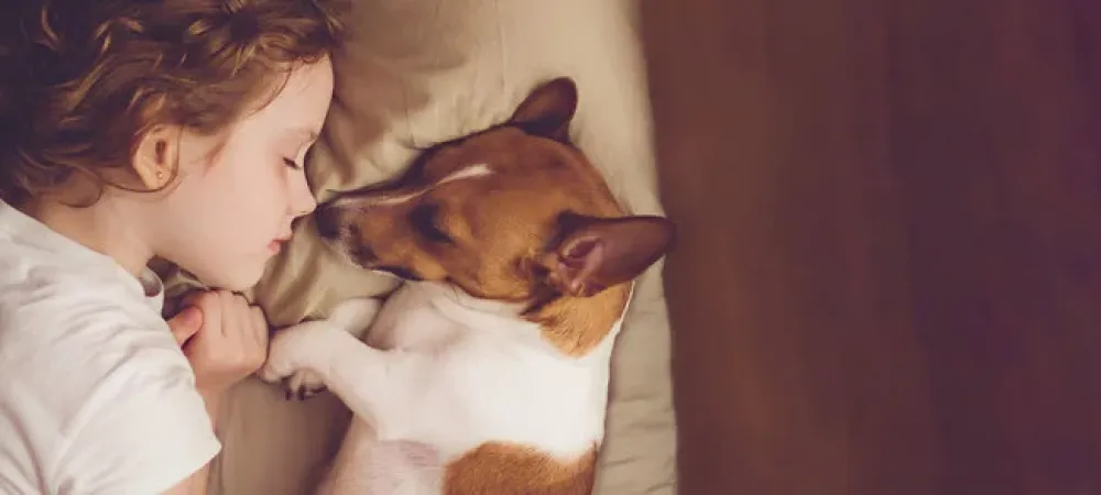 Dog sleeping next to a young child