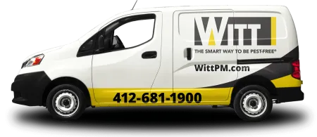 image-witt-van